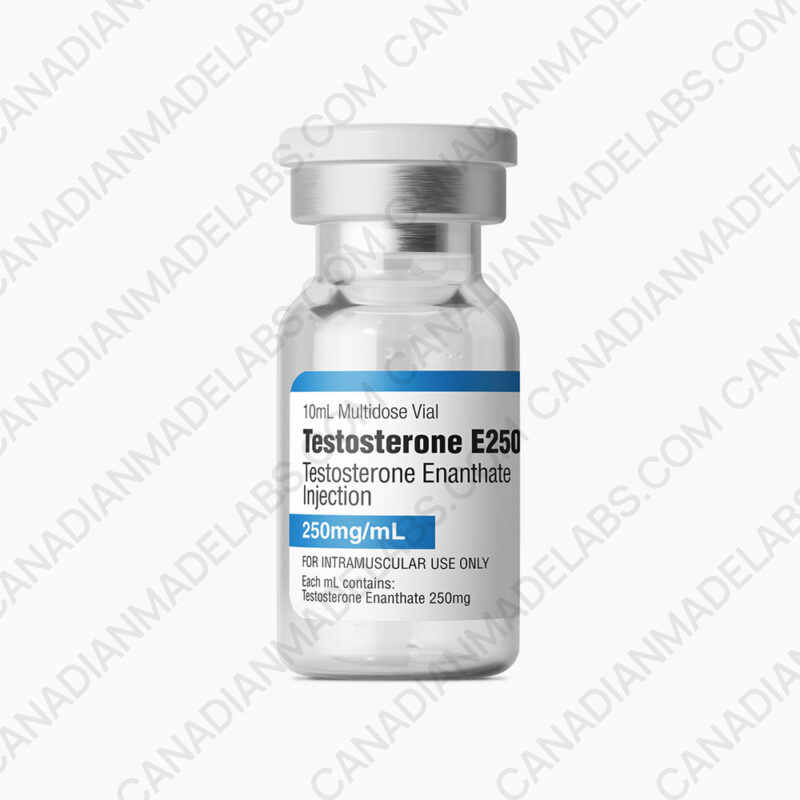 Testosterone E250 (250mg)